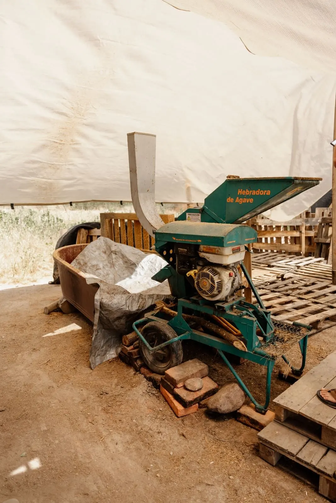 Milling of the cooked agave