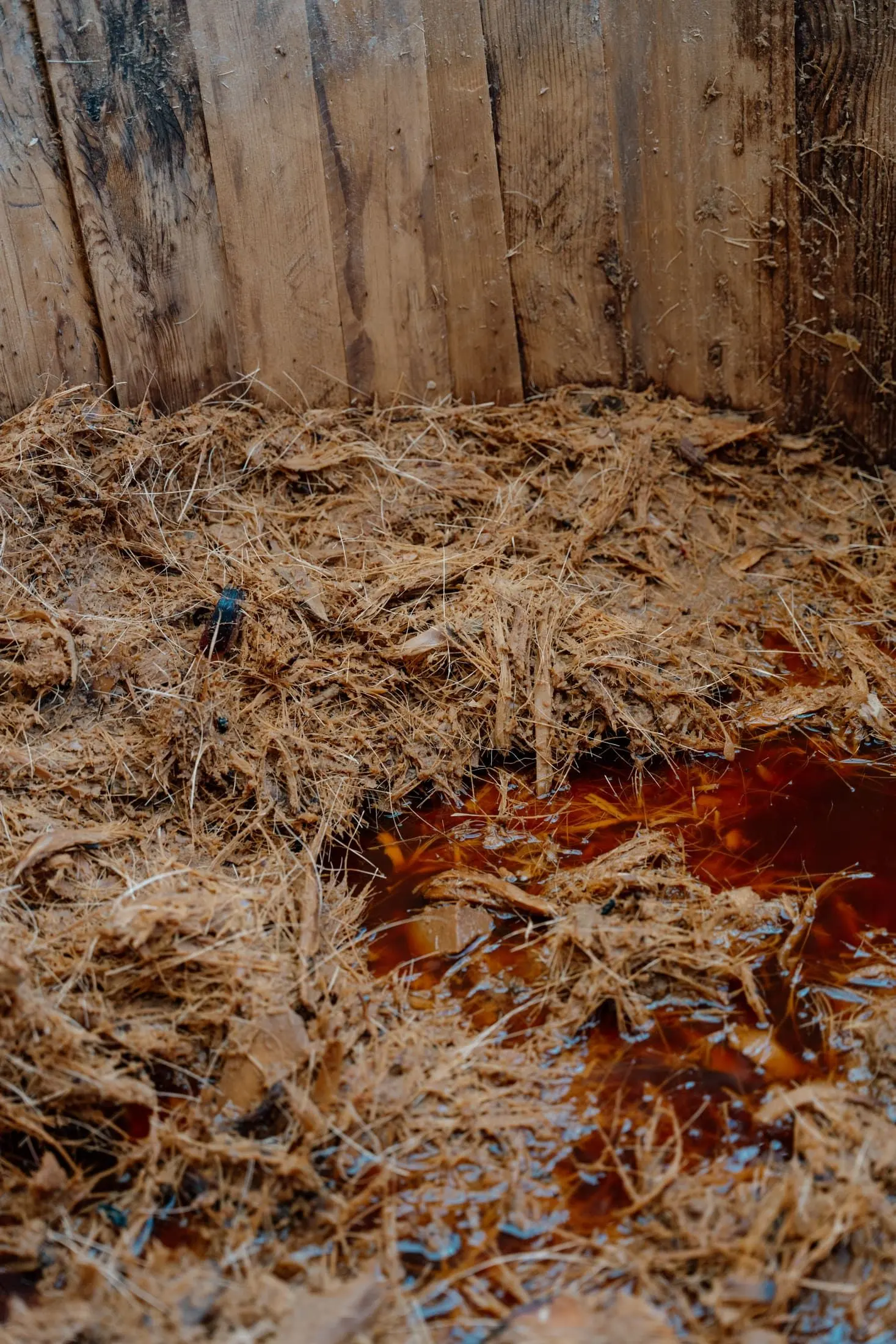 Wooden vat with fermenting mash
